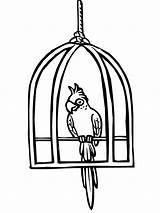 Gaiola Cage Parrot Papagaio Colorir Passarinho Poleiro Saindo Clipartmag Tudodesenhos Tocolor Parrots Imprimir sketch template