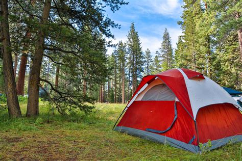 awesome health benefits  camping camp native