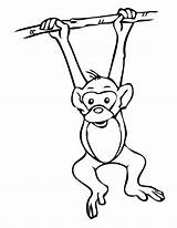 Monkey Hanging Coloring Pages sketch template