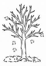 Herbst Ausdrucken Baum Blätter Bäume Raskrasil sketch template
