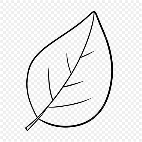 large leaf black  white clipart leaf drawing lip drawing black