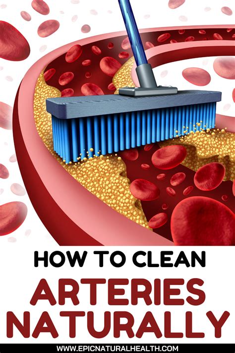 clean arteries  remove bad cholesterol naturally natural