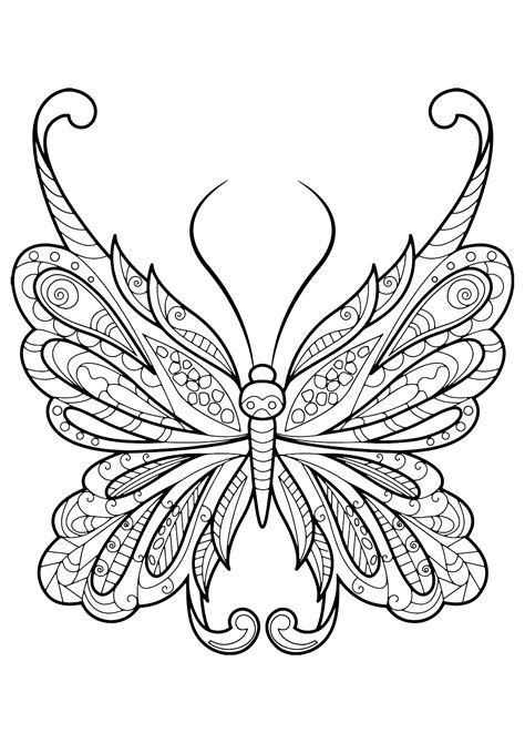 butterfly beautiful patterns  butterflies insects adult coloring