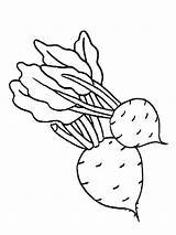 Coloring Pages Beet Vegetables sketch template