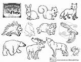 Brett Animali Omazing Waldtiere Hibernation Coloringhome Hibernate Learco Hedgehog sketch template