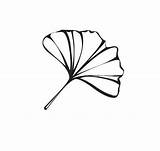 Leaf Ginkgo Stencil Outline Stencils Stamp Patterns Wall Mounted Rubber Gingko Simple Tattoo Visit Poke Stick sketch template