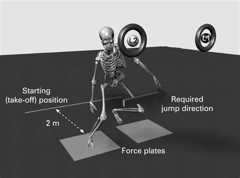sex and limb differences in hip and knee kinematics and kinetics during