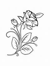 Rose Pages Coloring Printable Flowers sketch template