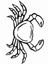Granchio Mewarnai Colorear Granchi Kepiting Crabs Cangrejos Caranguejos Caranguejo Sheet Cangrejo Animali Untuk Plantillas Paud Andar Colora Colorido Specie Filomena sketch template