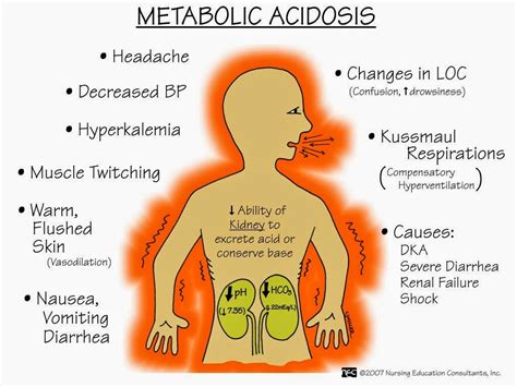 dpt in nyc respiratory metabolic acidosis and alkalosis ask the rn
