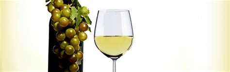 droge witte wijn kopen oa chardonnay horecagoedkoop