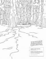Coloring Swamp Okefenokee Lumpkin Providence State sketch template