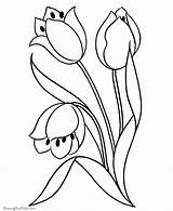 Outline Flowers Coloring Flower Printable Comments sketch template