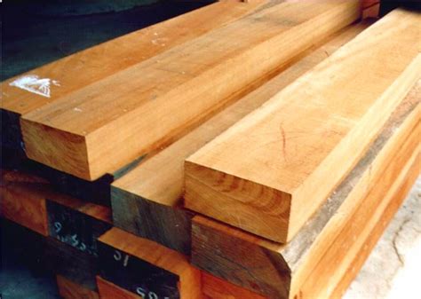 macam macam kayu  digunakan  pembuatan furniture mebeler sofa