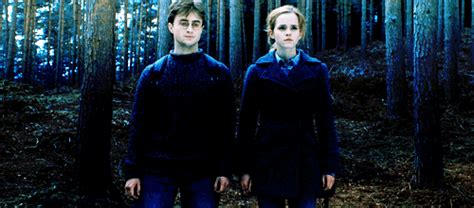 7 reasons why harry and hermione should have ended up together