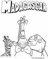Madagascar Gloria Melman Marty Colouring sketch template
