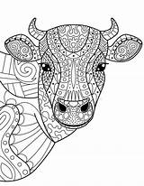 Cow Zentangle sketch template