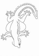 Gecko Coloring Books Pages Categories Similar sketch template
