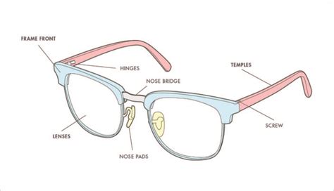 explain parts  glasses    function