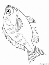 Vissen Dieren sketch template
