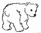 Bear Coloring Pages Coloring4free Polar Cub Related Posts sketch template