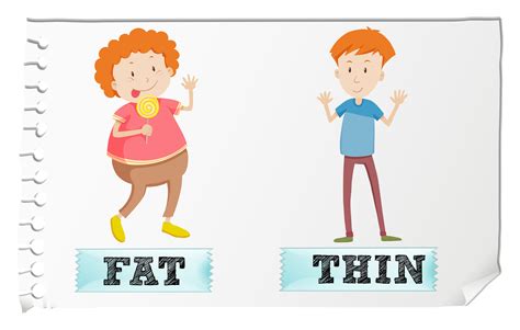 opposite adjectives fat and thin download free vectors clipart