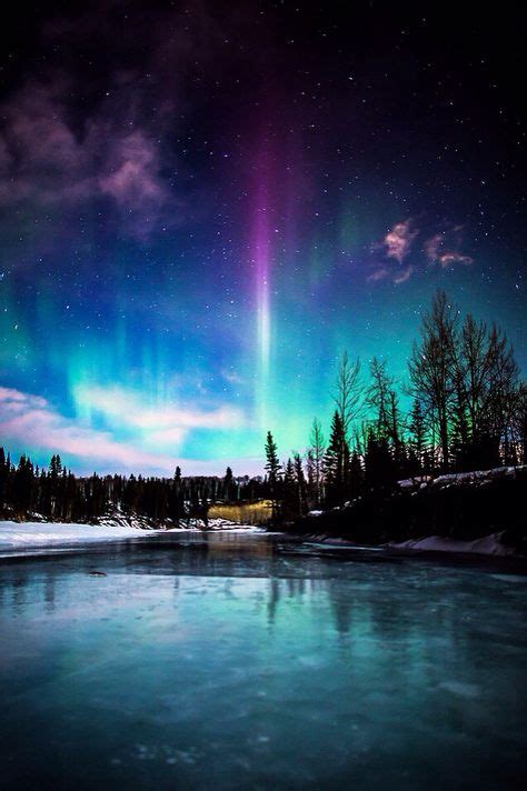 albertacanada aurora borealis northern lights aurora
