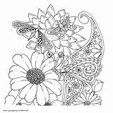 Coloring Pages Adults Butterfly Cute Adult Butterflies Printable Print Look Other sketch template