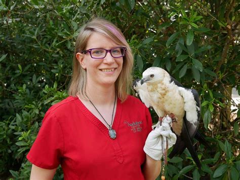 samantha little cvt raptor conservation specialist audubon center