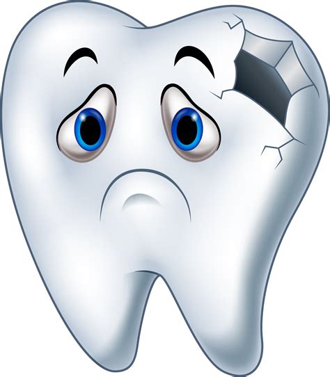 cartoon tooth png png image collection