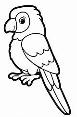 Perroquet Coloriage Maternelle Perruche Papagei Einfach Ausmalen Malvorlage Zeichnen Vorlage Años Jährige Malvorlagen Vorlagen Merken sketch template