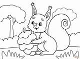 Squirrel sketch template