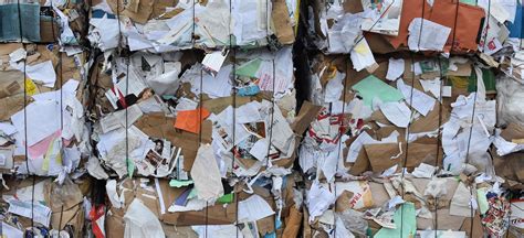 cascades canadas  recycled paper products company david suzuki