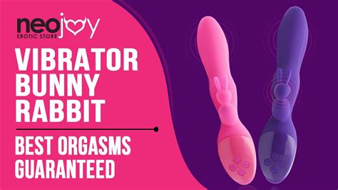 neojoy rabbit vibrator vibrator for women g spot and clitoral