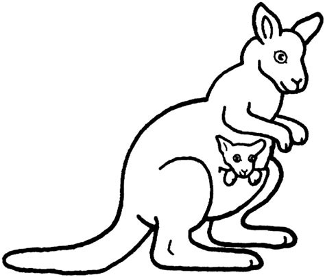 kangaroo outline   kangaroo outline png images