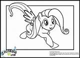 Pony Fluttershy Colouring sketch template