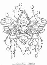 Stylized Zentangle Honeycombs Bee sketch template
