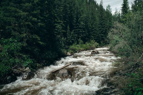 mountain river flowing  forest  stock photo