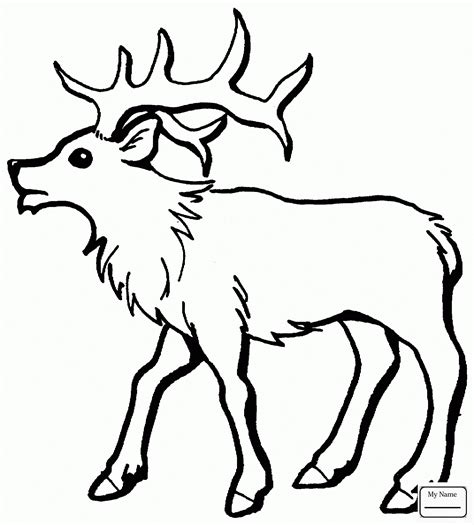 elk coloring pages printable shelter deer coloring pages coloring