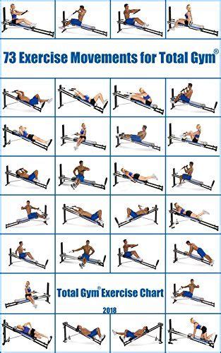 exercise movements  total gym total gym exercise chart total gym exercise chart gym