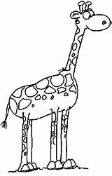 Giraffa Colorare Disegni Bambini Savana Desene Facili Giraffen Coloratutto Colorat Planse Imagini Divertenti Gratuit Colora Piccoli Cartoni Colorati sketch template