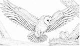 Owls Snowy Colouring Bestappsforkids sketch template