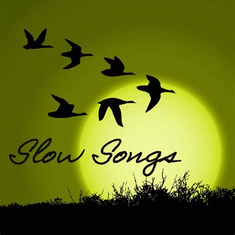 slow songs relax on spotify