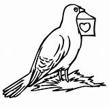Pigeon Coloring Pages Print Kids Printable Colouring Books sketch template