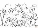Pascua Huevos Conejos Conejitos Supercoloring Conejo Preciosos Crayola Bunnies Belong Respective sketch template