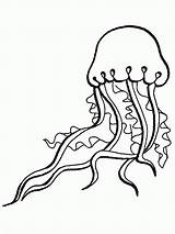 Jellyfish Spongebob sketch template