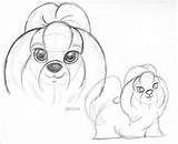 Shih Tzu Sketch Dog Deviantart Draw Tzus Tiki Coloring Template Sketches sketch template
