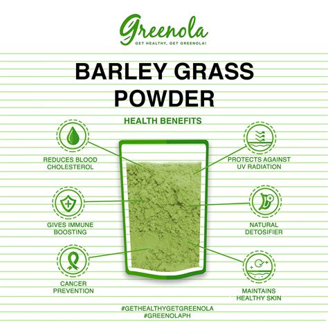 greenola organic barley grass powder raw bulk greenola