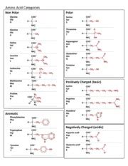 amino acid chart  amino acid categories  polar polar positively