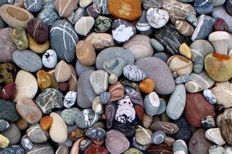 Pebbles Optical Illusion Is Latest Viral Photo To Sweep The Internet